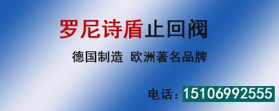 進(jìn)口止回閥