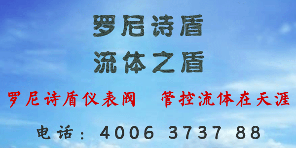 羅尼詩盾儀表閥
