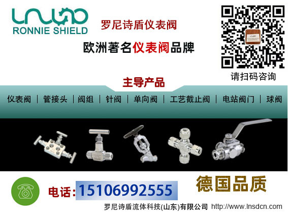 2025年儀表閥市場的市場價值