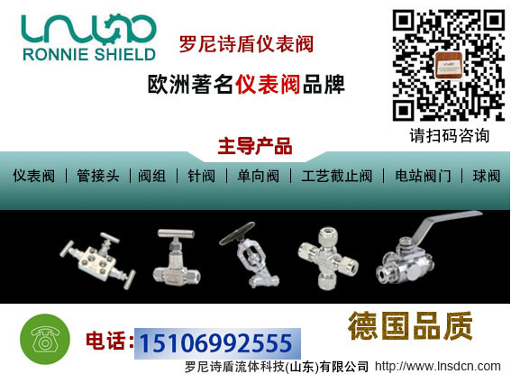 羅尼詩盾儀表閥